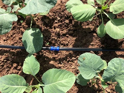 União de 16 mm com anilhas para tubo PELBD