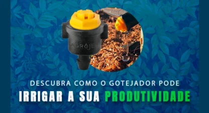 Descubra como o gotejador pode irrigar a sua produtividade