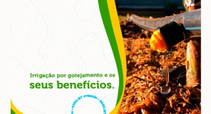 Irrigação por gotejamento e os seus benefícios