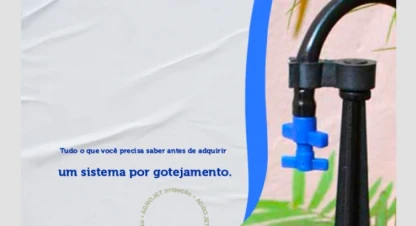 Tudo o que você precisa saber antes de adquirir um sistema por gotejamento