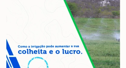 Como a irrigação pode aumentar a sua colheita e o lucro?