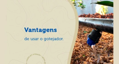 Vantagens de usar o gotejador para irrigação