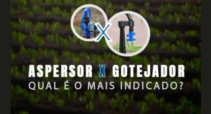 Aspersor x Gotejador – Qual é o mais indicado?