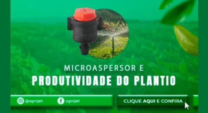 Microaspersor e produtividade do plantio