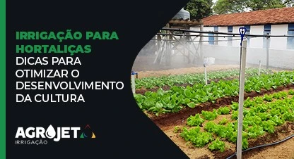 Irrigação para Hortaliças: Dicas para otimizar o desenvolvimento da cultura