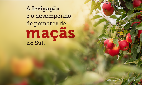 A Irrigação e o desempenho de pomares de maçãs no Sul