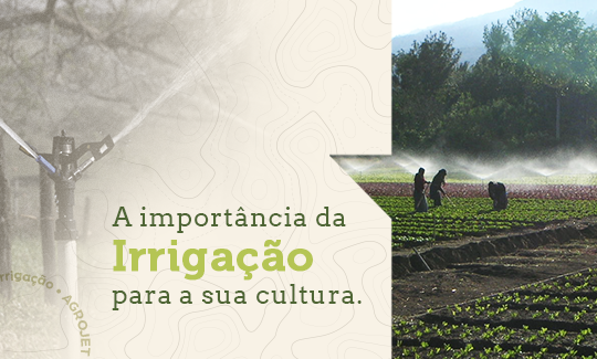 A importância da Irrigação para a sua cultura