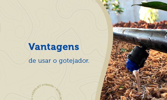 Vantagens de usar o gotejador para irrigação