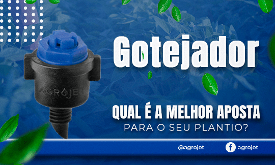 Gotejadores – Qual é a melhor aposta para o seu plantio?