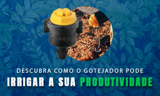 Descubra como o gotejador pode irrigar a sua produtividade.