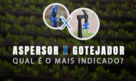 Aspersor x Gotejador – Qual é o mais indicado?